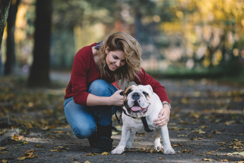 10 reason to not use retractable leashes