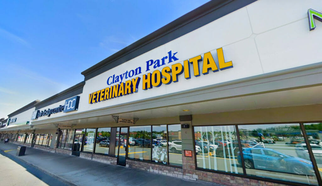 Join Our Team | Career Opportunities at Clayton Park Veterinary Hospital